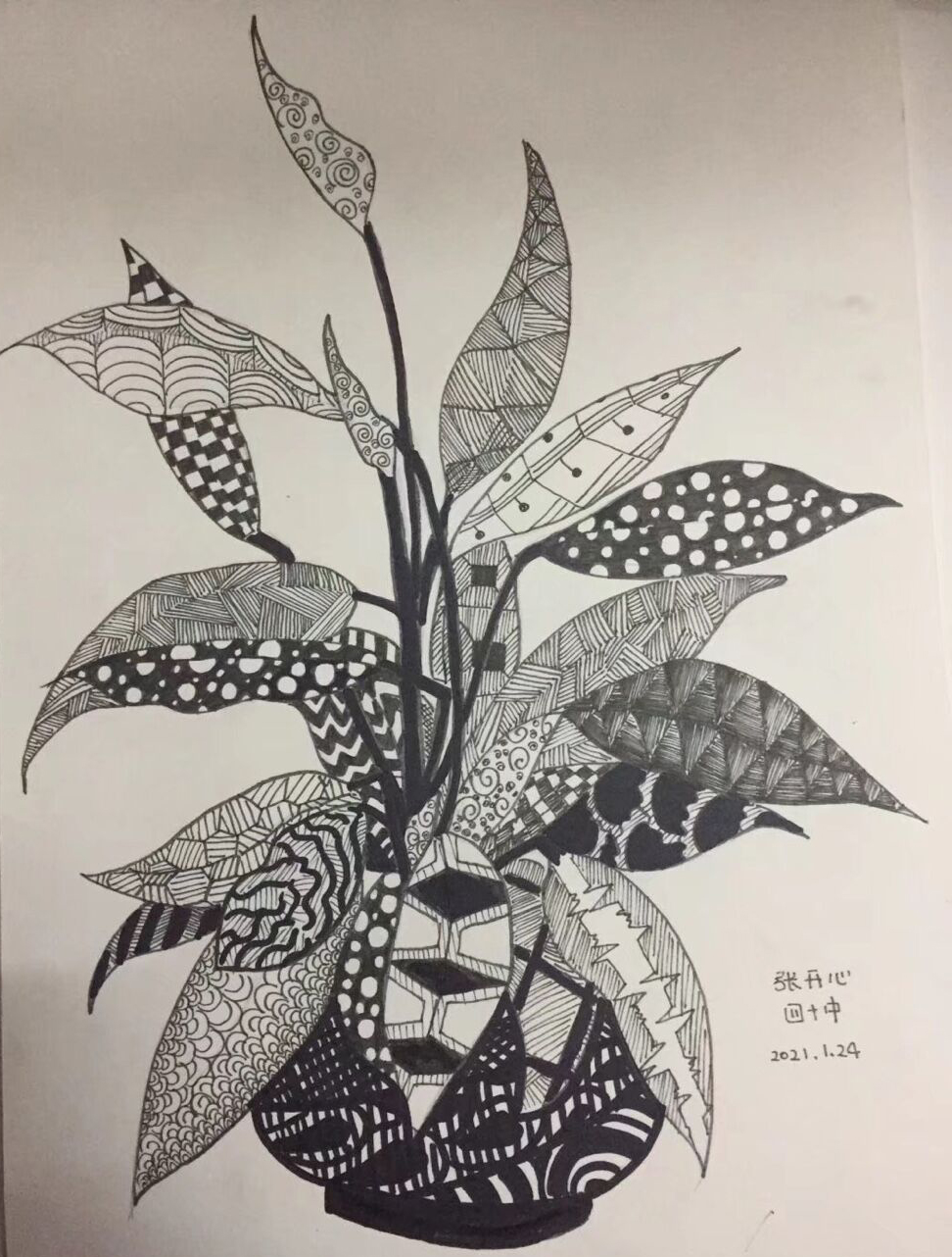 张开心四十中.jpg