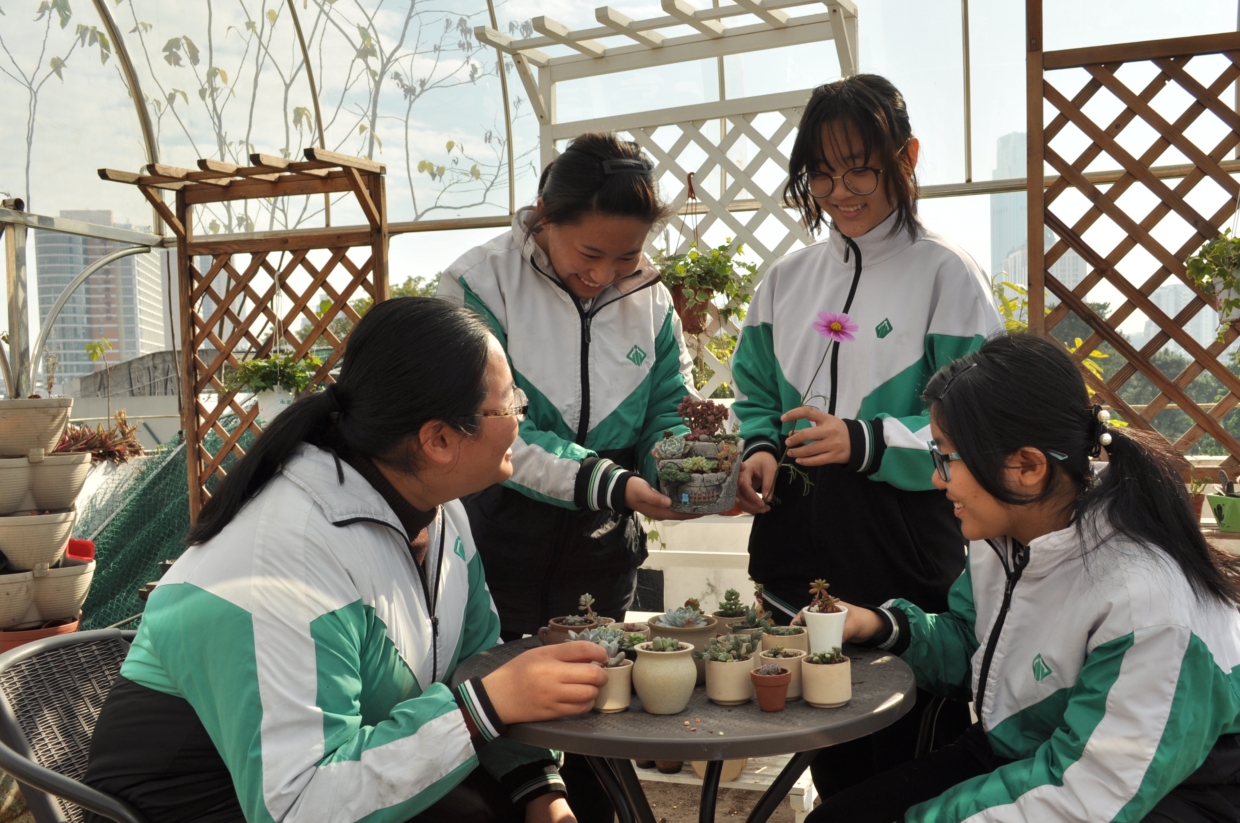 13多肉种植栽培区2.JPG