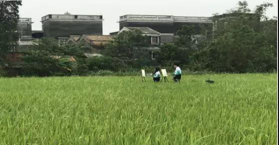 外师造化，与美同行——高三开平色彩风景写生760.png