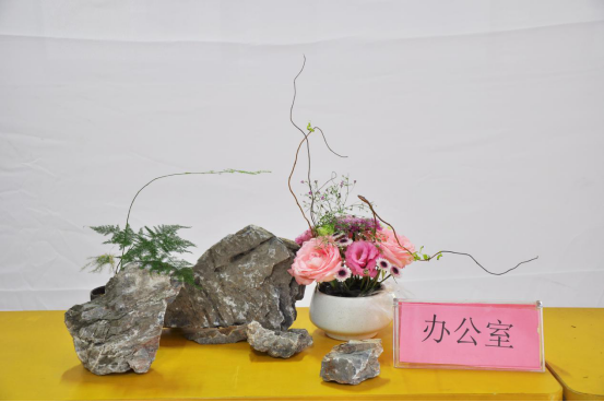 2018学年第一学期第12周回顾268.png